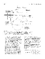 Bhagavan Medical Biochemistry 2001, page 403